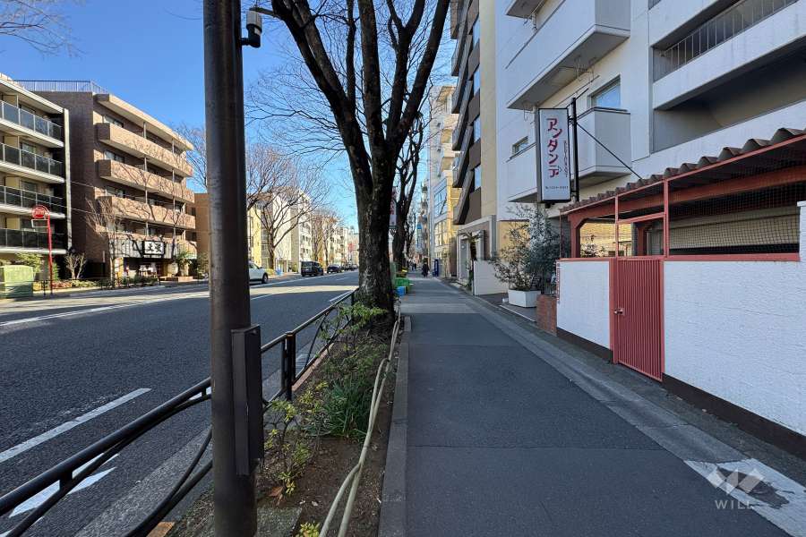 敷地北側の前面道路