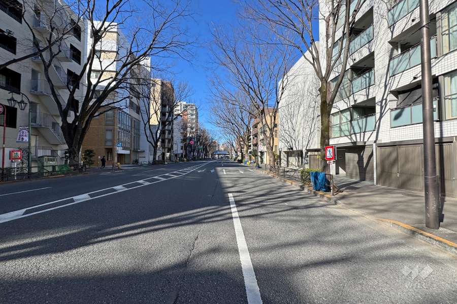 敷地南側の前面道路