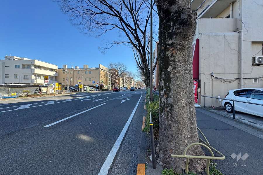 敷地の北側前面道路（西側から）