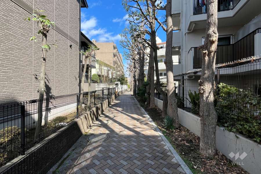 敷地の西側前面通路（南側から）