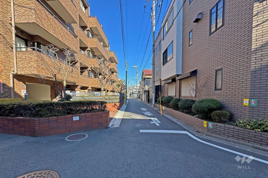 敷地の東側前面道路（南側から）