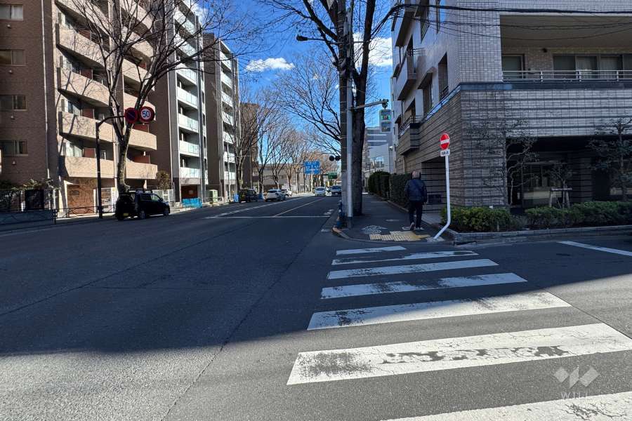 敷地の北側前面道路（西側から）