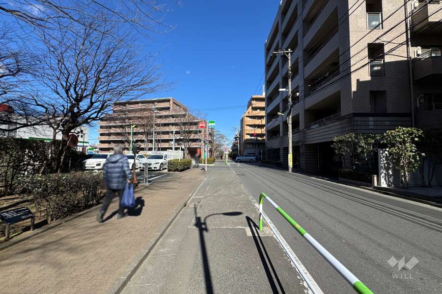 敷地の西側前面道路（南側から）
