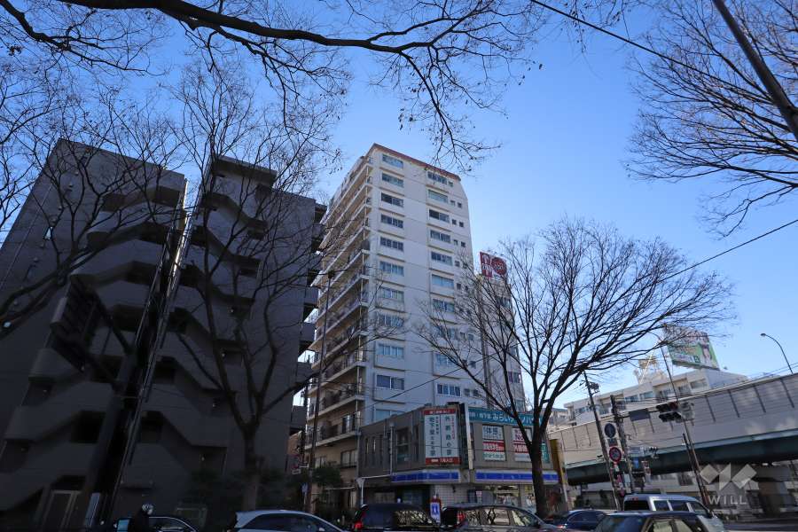トーエイ高井戸の外観(北西側から)