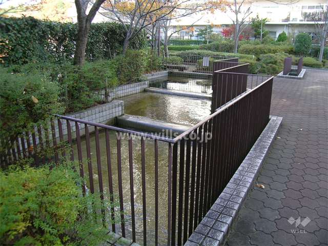 緑豊かで、池が設けられた中庭