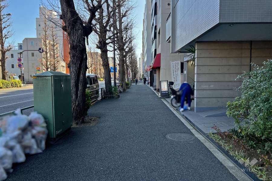 敷地北東側の前面道路（北西側から）