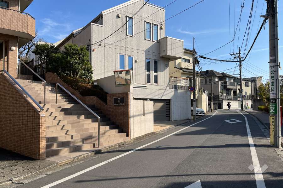 敷地の西側前面道路（北側から）