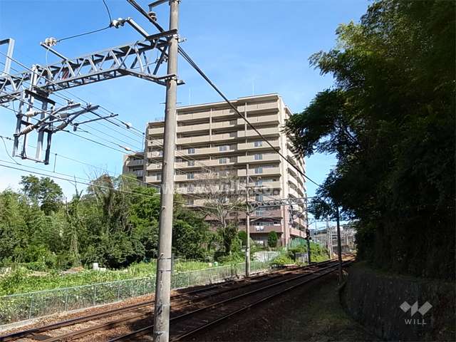 周辺には木々が茂り、たいへん緑豊かな住環境です。