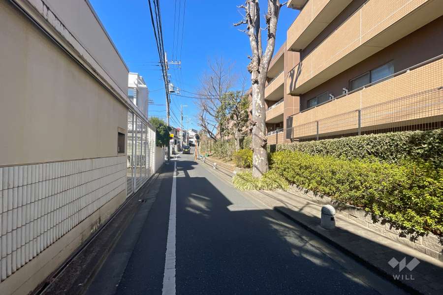 敷地南西側の前面道路　