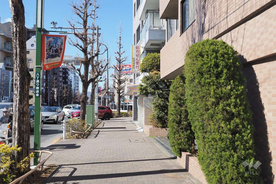 敷地南西側の前面道路は青梅街道です（南東側から）。