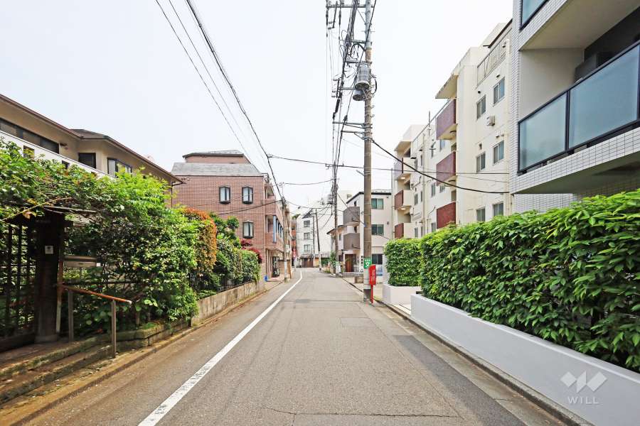 敷地北側の前面道路（西側から）
