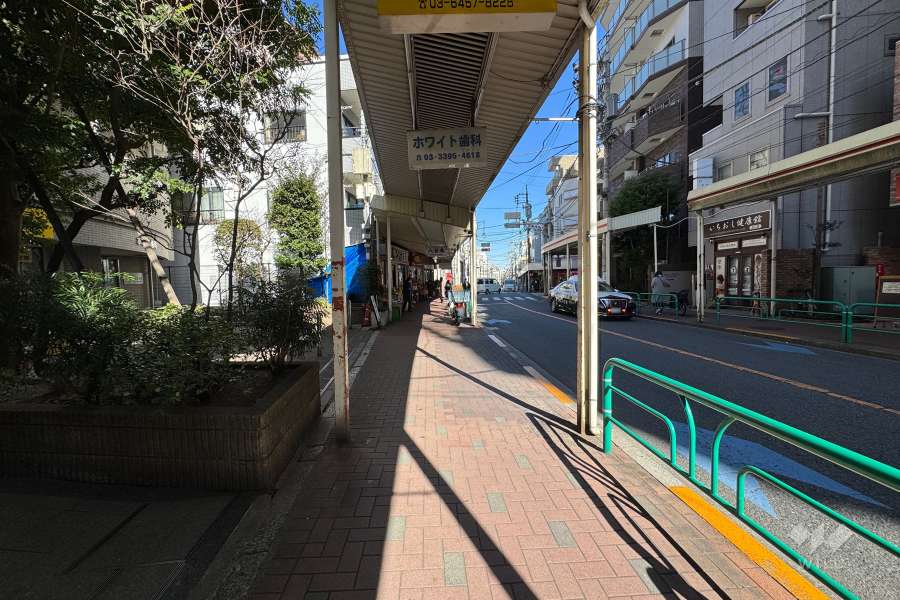 敷地の東側前面道路（南側から）
