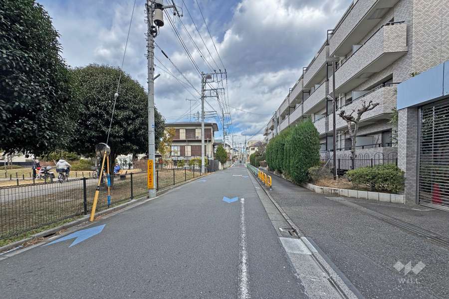 敷地の西側前面道路（南側から）