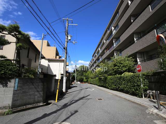 敷地南側の前面道路