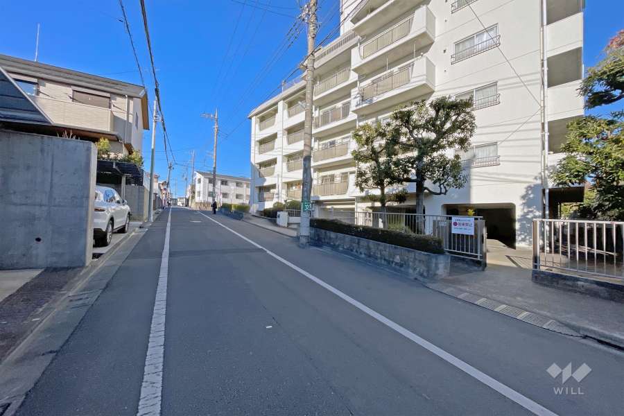 敷地の西側前面道路（南側から）