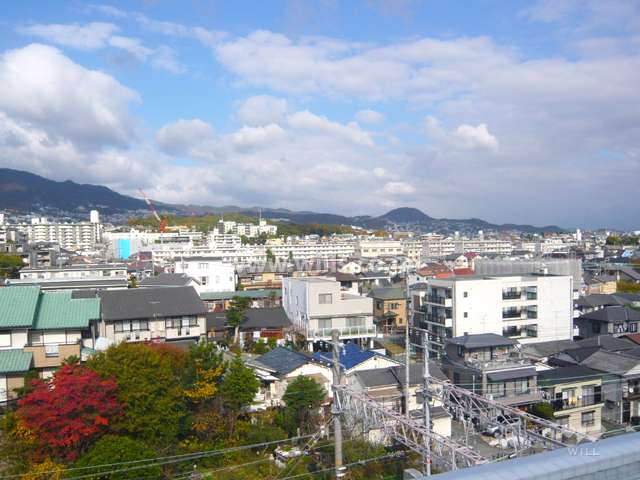 屋上からの眺めは抜群です