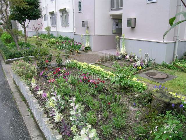 14号棟の花壇