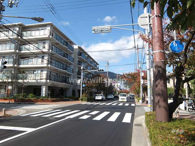 敷地東側の前面道路（南側から）桜並木がきれいです。