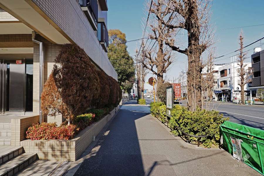 敷地北東側の前面道路（南東側から）