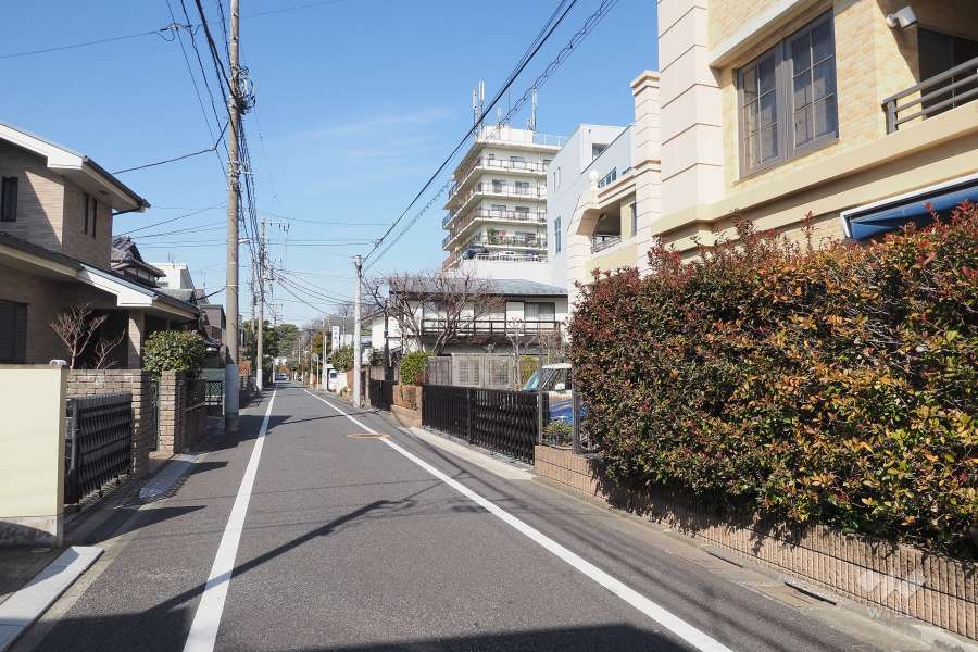 敷地西側の前面道路（南側から）