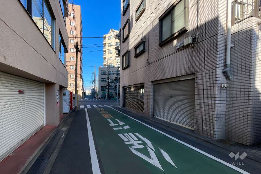 敷地の西側前面道路（北側から）
