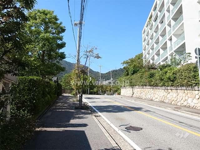 敷地西側の前面道路