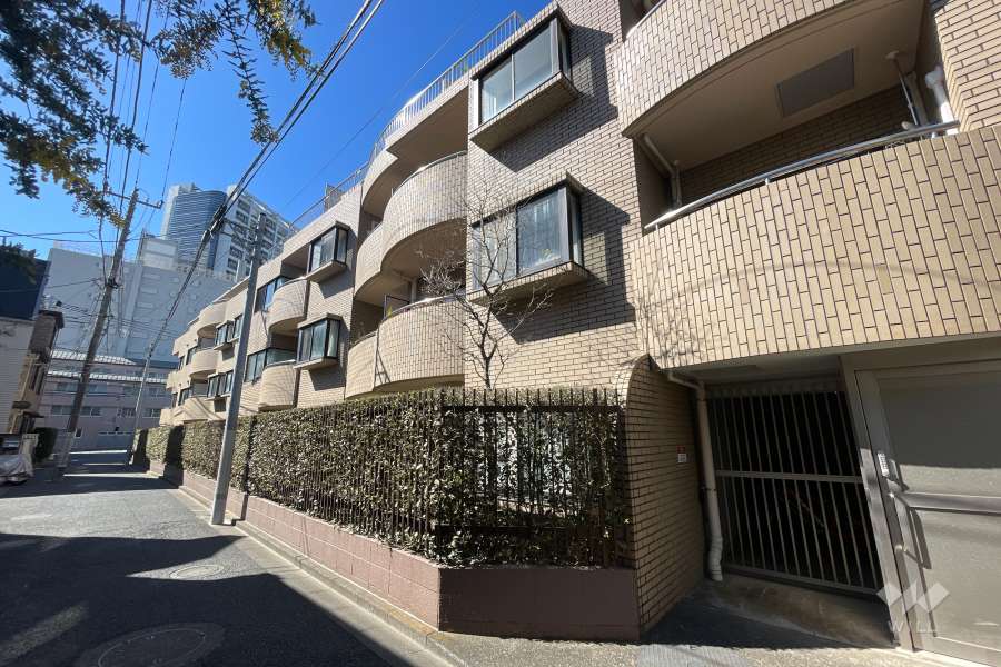 敷地の東側前面道路（北側から）