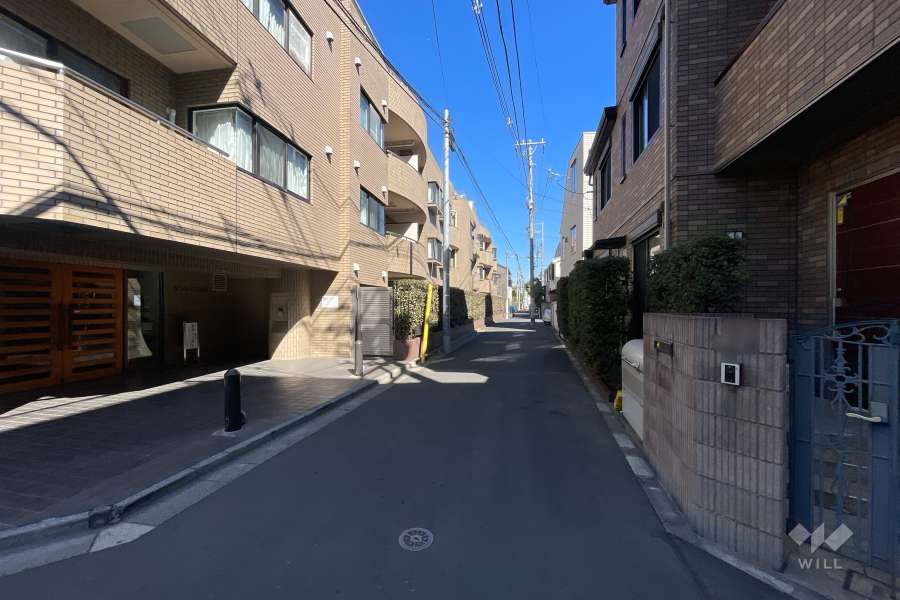 敷地の東側前面道路（南側から）