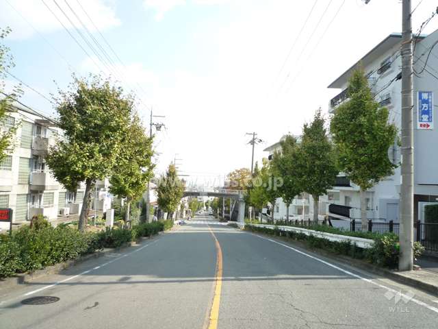 目の前は街路樹のきれいな二車線の通りです。