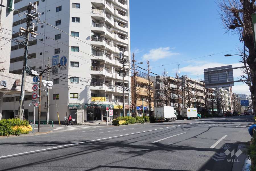 敷地南側の前面道路（西側から）