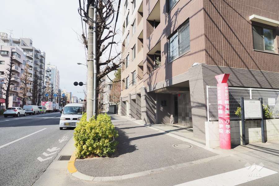 敷地南側の前面道路