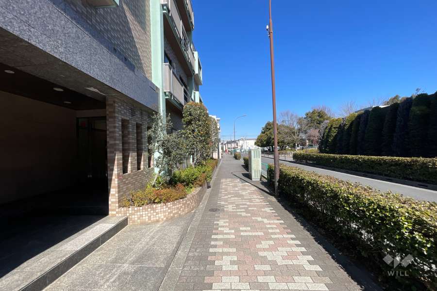 敷地東側の前面道路（南側から）