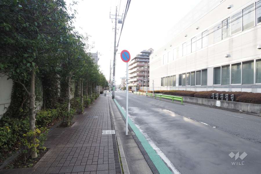 敷地北側の前面道路