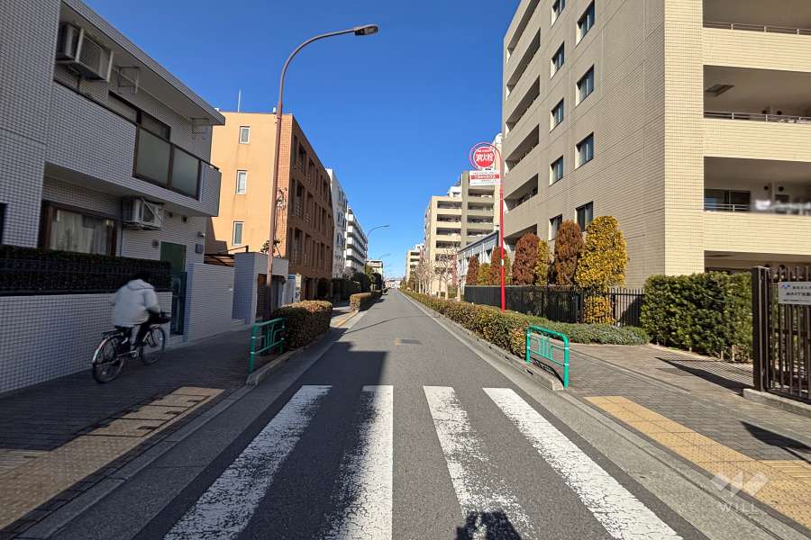 敷地西側の前面道路　
