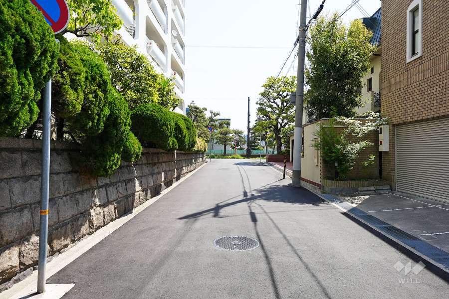 敷地南側の前面道路（西側から）