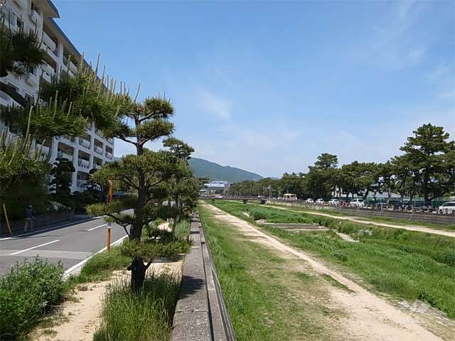 敷地の東側には道を挟んで、芦屋川が流れています。