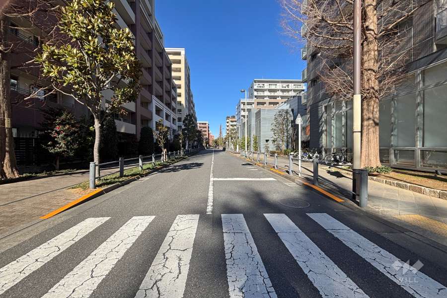 敷地東側の前面道路　