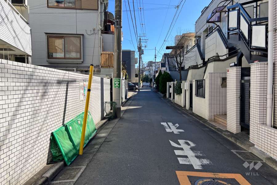 敷地の南西側前面道路（北西側から）