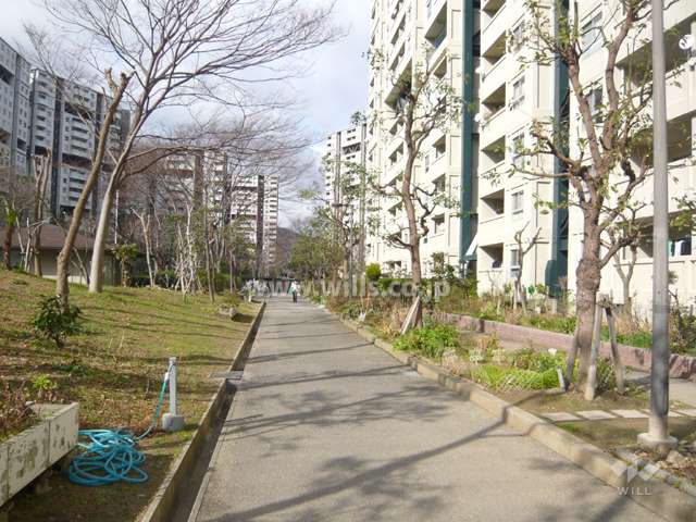 敷地内は植栽スペースが多く設けられ緑豊かです。