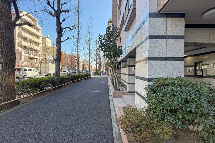 敷地北側の前面道路　