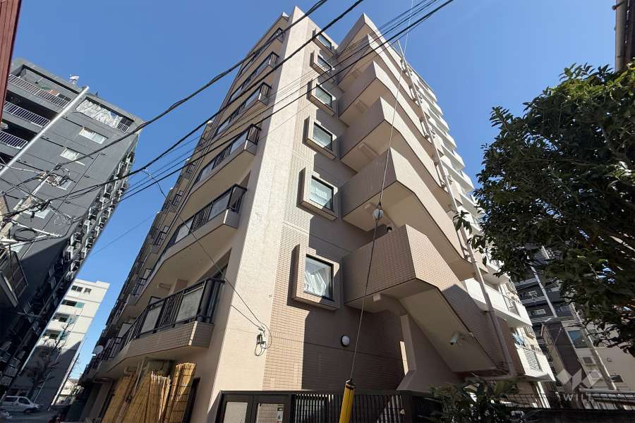 マイキャッスル新高円寺の外観（南西側から）