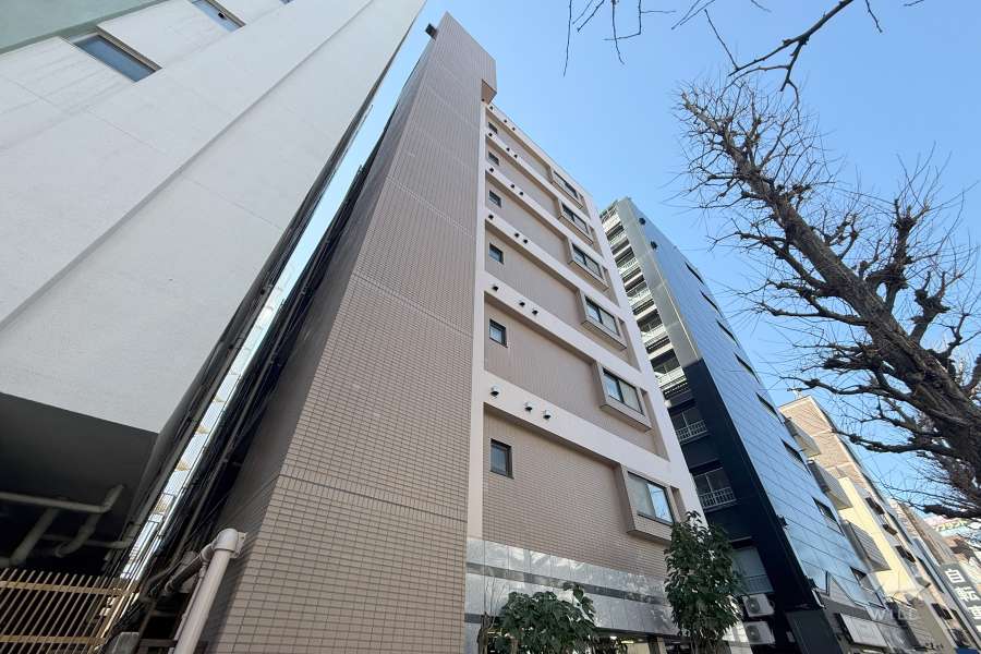 マイキャッスル新高円寺の外観（北東側から）