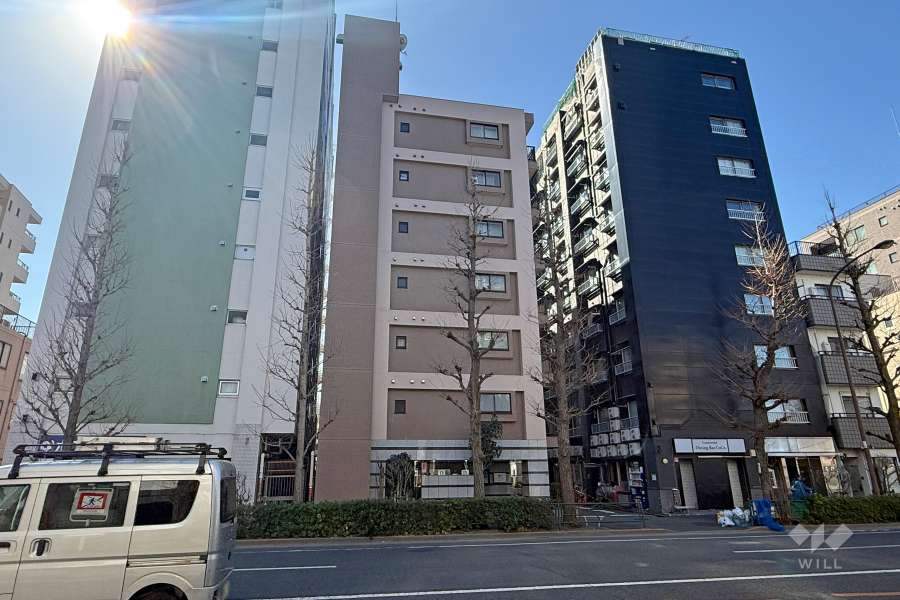 マイキャッスル新高円寺の外観（北側から）