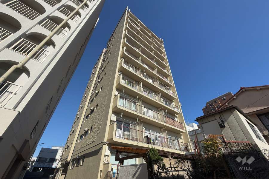 シャンボール南高円寺の外観（南西側から）