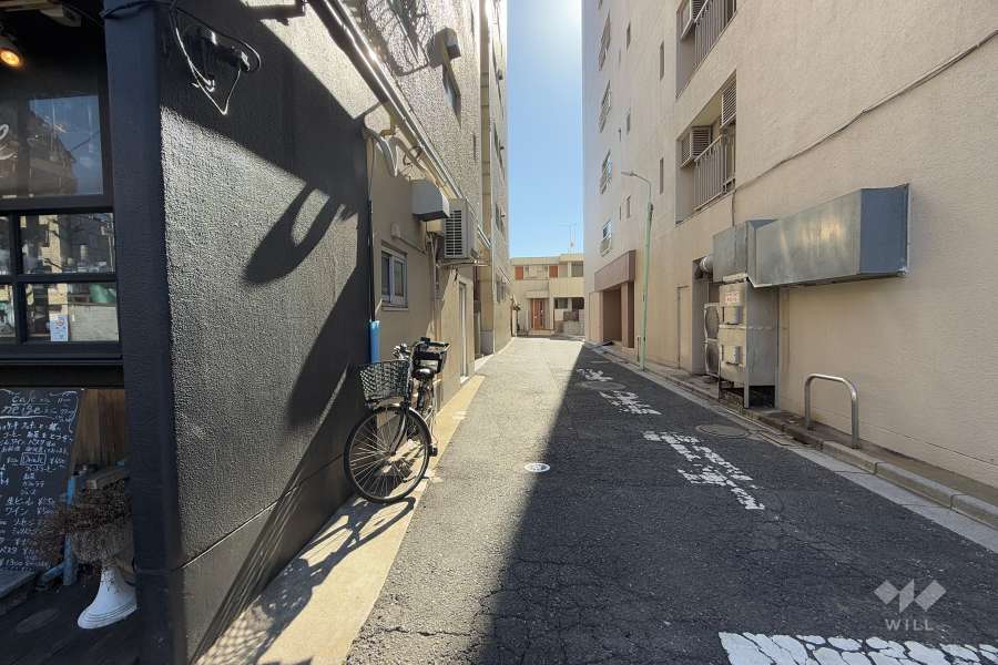 敷地の西側前面道路（北側から）