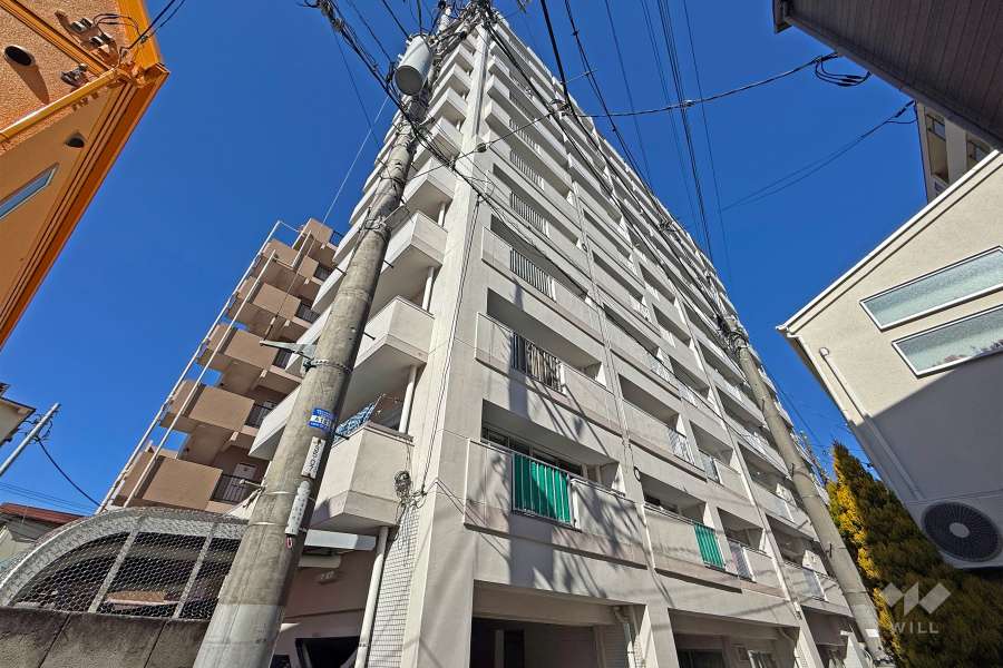 新高円寺ロイヤルマンションの外観（南東側から）