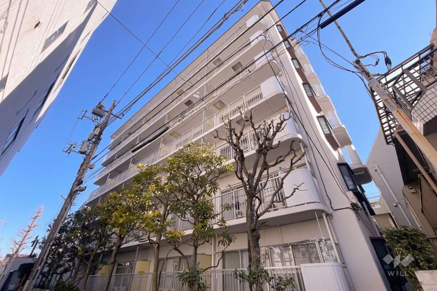 ベルエア新高円寺の外観（南西側から）
