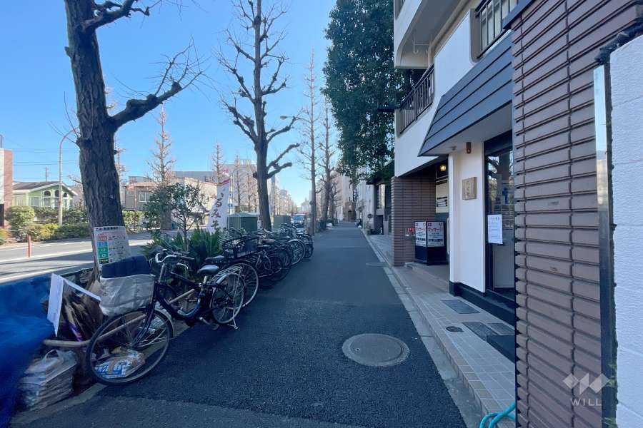 敷地北側の前面道路