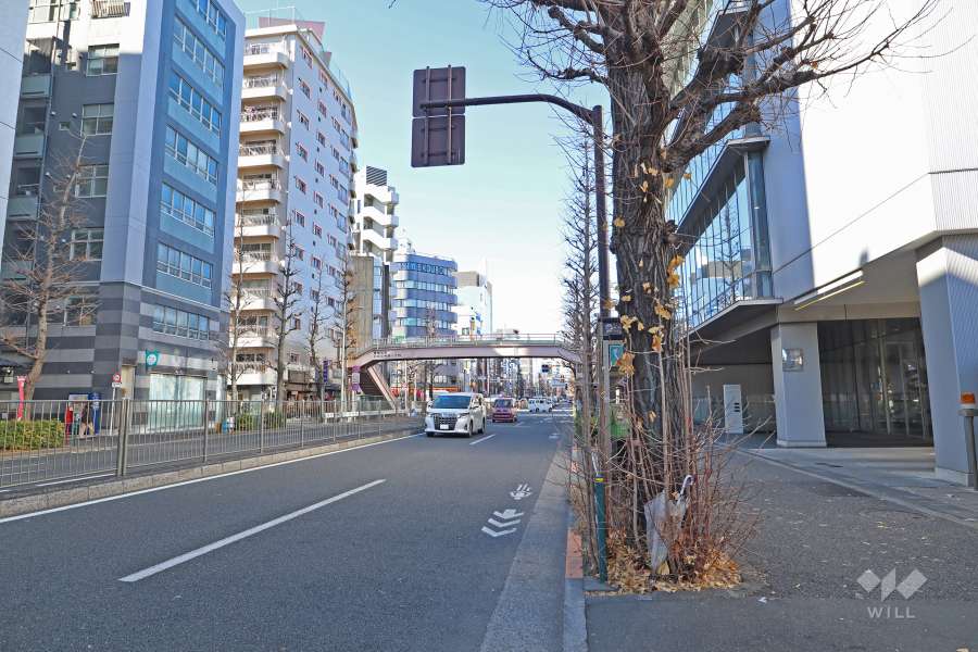敷地北側の前面道路（西側から）