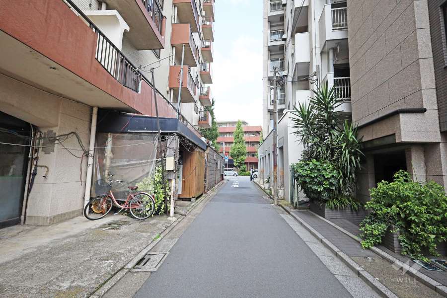 敷地東側の前面道路